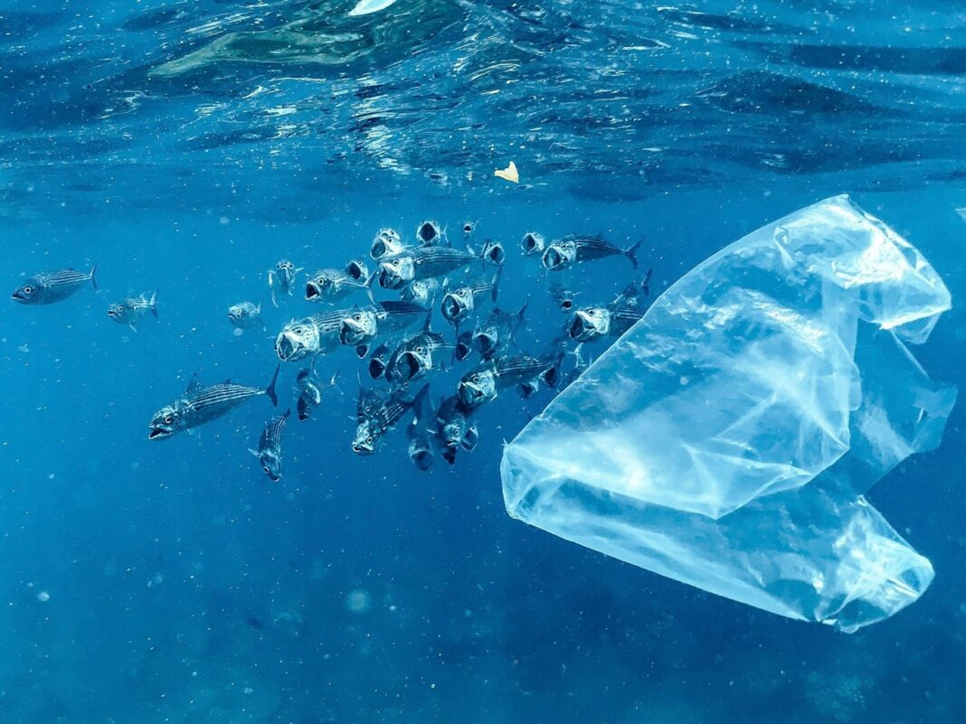 plastic pollution