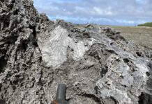 UP Study Uses Ancient Coastal Boulders to Trace Extreme Wave Events in Ilocos Norte