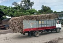 Sugar Mills Urged to Increase Trucking Allowance for Farmers