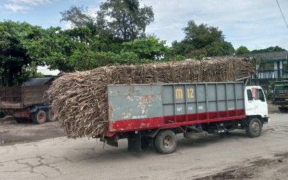 Sugar Mills Urged to Increase Trucking Allowance for Farmers