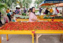 Kitcharao LGU Farm market yields millions for local vegetable growers