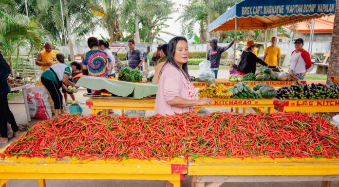 Kitcharao LGU Farm market yields millions for local vegetable growers