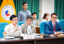 VAT reduction push renewed in House hearing