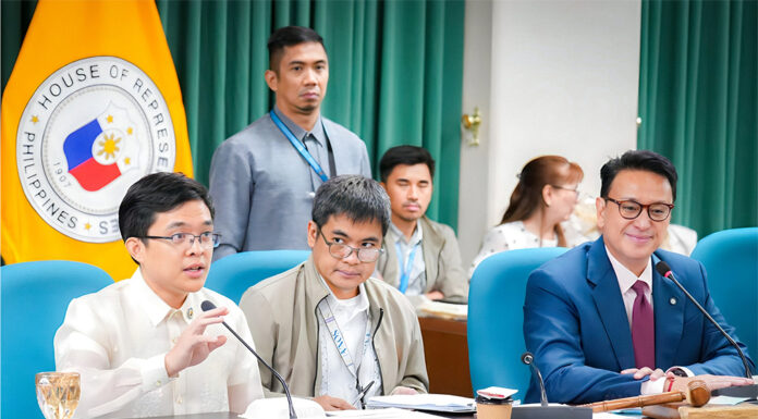 VAT reduction push renewed in House hearing