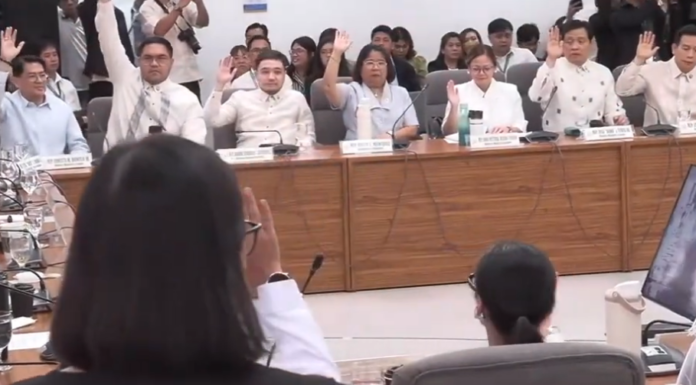 House Justice panel unanimously approves Articles of Impeachment against VP Duterte with 55-0 vote