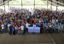 Over 8,000 families in Ilocos Norte receive 10 kilos of rice subsidy