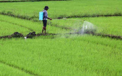 DA, DOE to ‘geofence’ 3M hectares of farmland against solar project expansion
