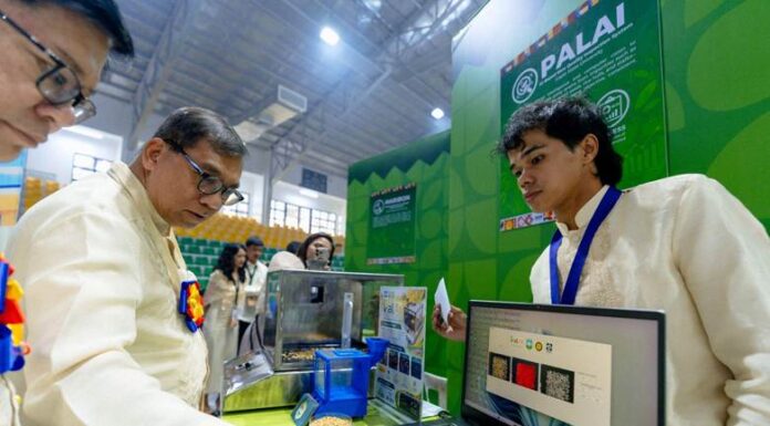 DA seeks P45-billion El Niño aid as farm damage reaches P6.8 billion